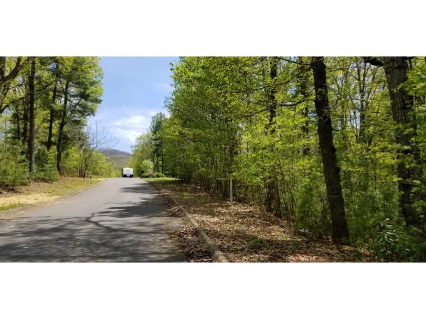Photo #16: Tr 10 Mountain Laurel Court