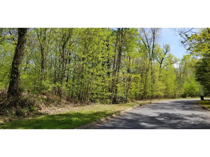 Photo #5: Tr 8 Mountain Laurel Court