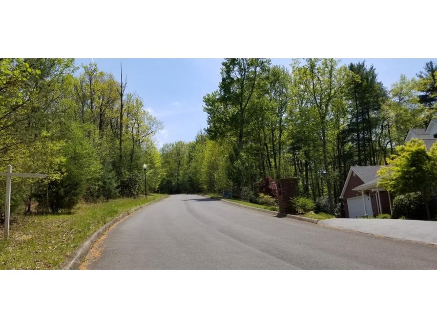 Photo #10: Tr 9 Mountain Laurel Court