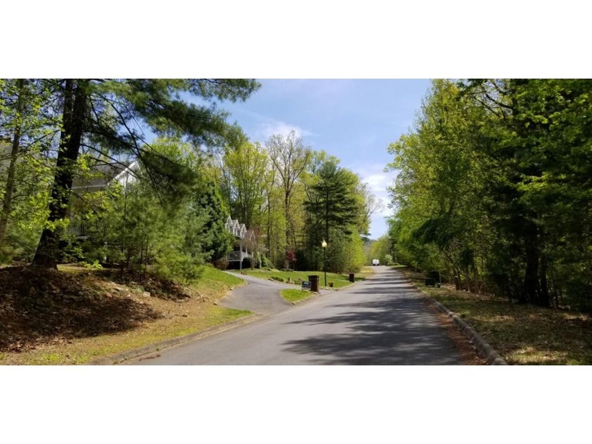 Photo #14: Tr 10 Mountain Laurel Court