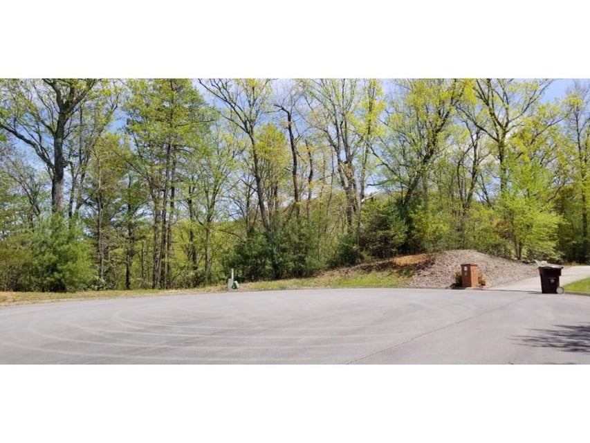 Photo #23: Tr 11 Mountain Laurel Court