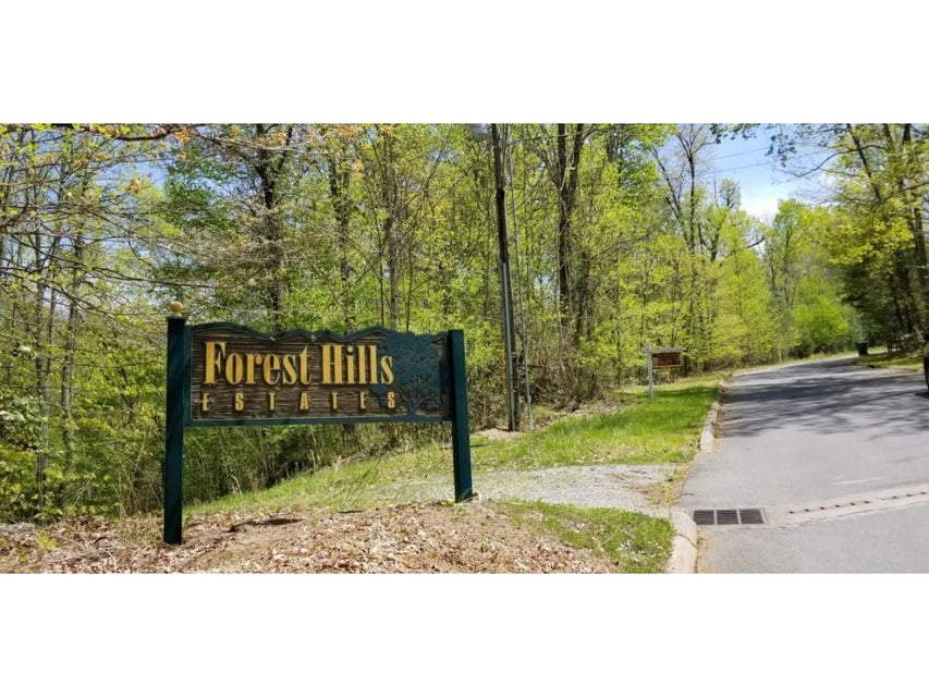 Photo #2: Tr 10 Mountain Laurel Court