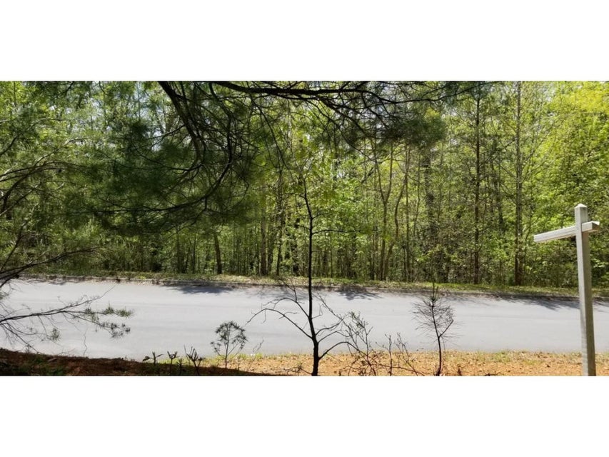Photo #33: Tr 19 Mountain Laurel Court