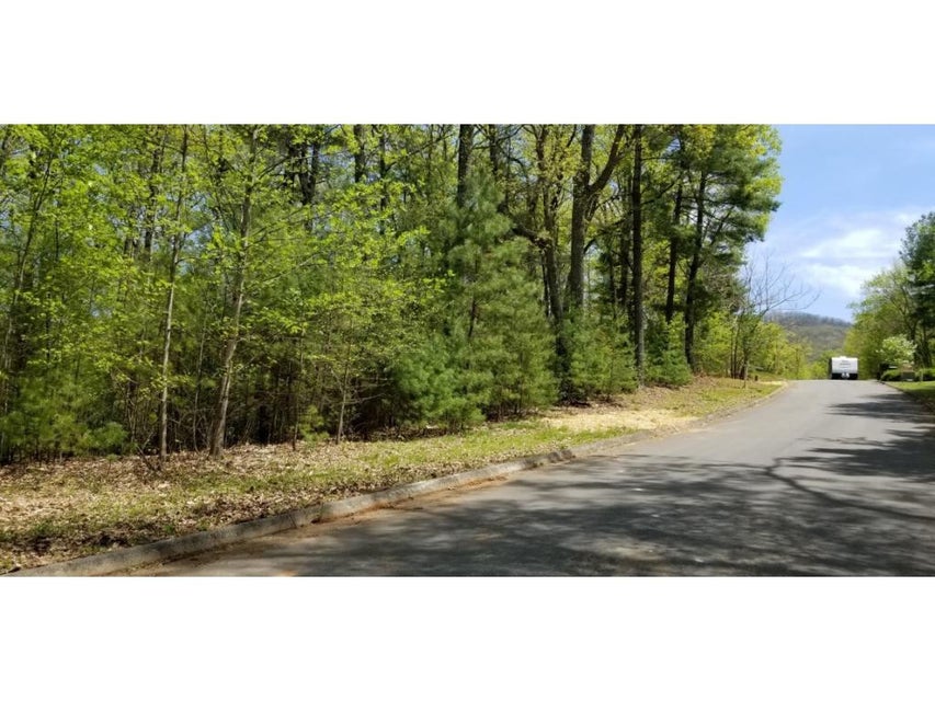 Photo #18: Tr 15 Mountain Laurel Court