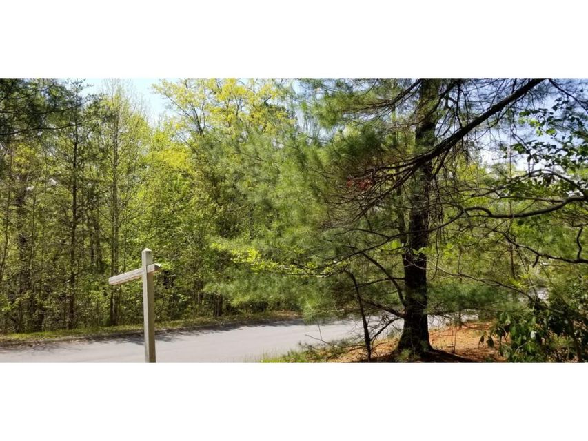 Photo #32: Tr 20 Mountain Laurel Court