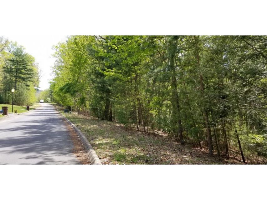Photo #12: Tr 12 Mountain Laurel Court