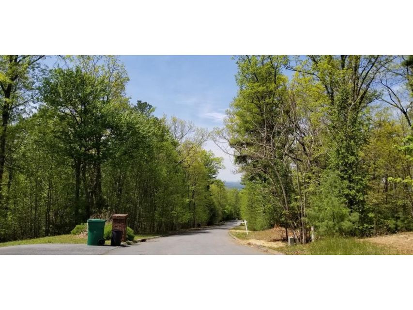 Photo #34: Tr 20 Mountain Laurel Court