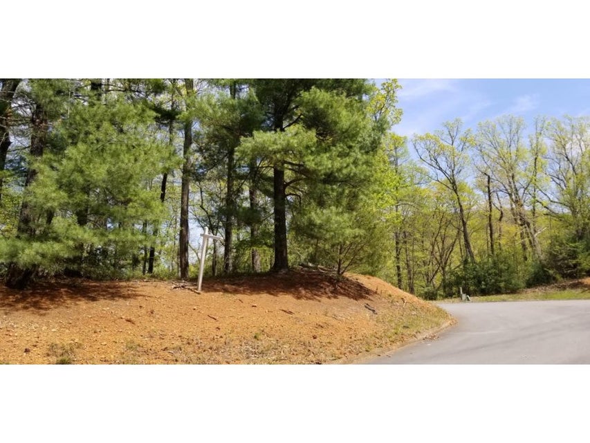 Photo #22: Tr 19 Mountain Laurel Court