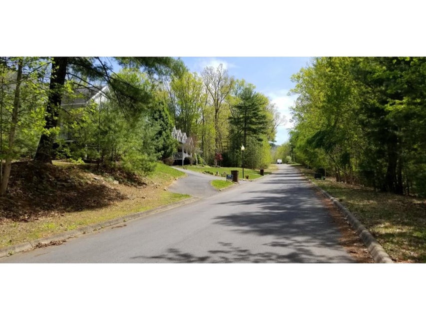 Photo #13: Tr 13 Mountain Laurel Court