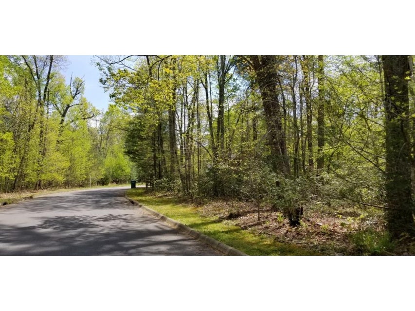 Photo #6: Tr 13 Mountain Laurel Court