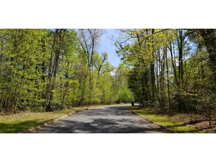 Photo #4: Tr 15 Mountain Laurel Court