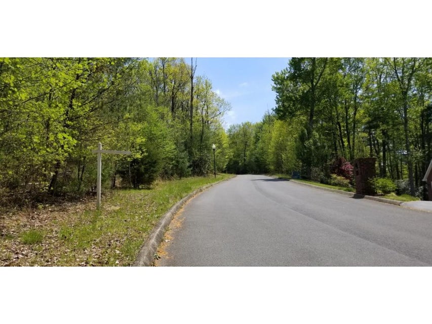 Photo #7: Tr 19 Mountain Laurel Court