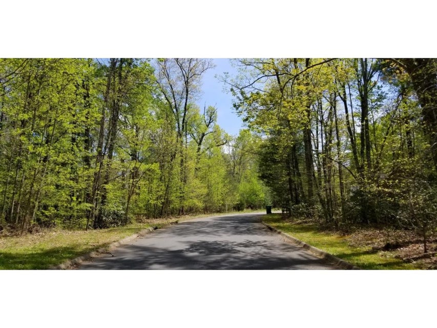 Photo #3: Tr 19 Mountain Laurel Court