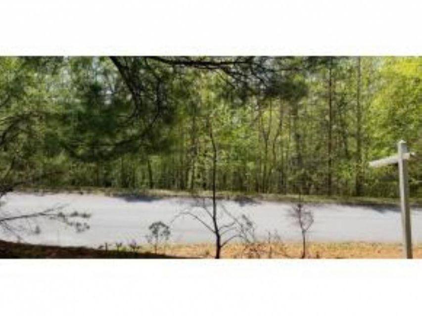 Photo #31: Tr 25 Mountain Laurel Court
