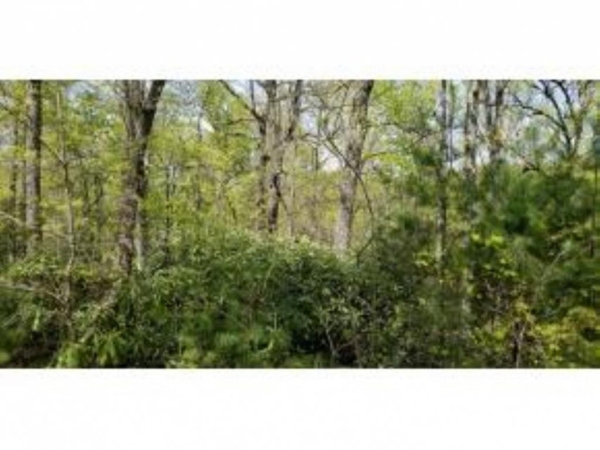Photo #26: Tr 25 Mountain Laurel Court