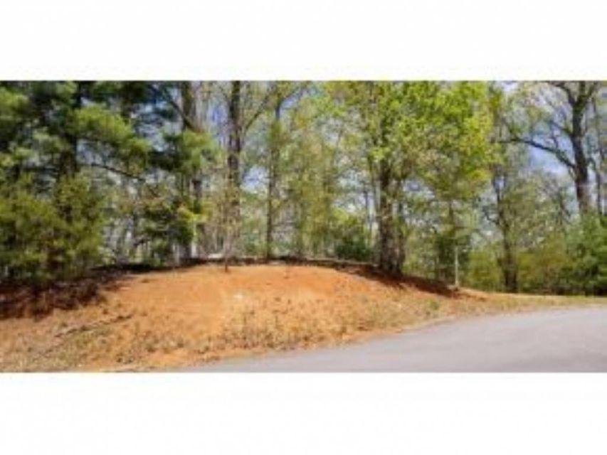 Photo #23: Tr 25 Mountain Laurel Court