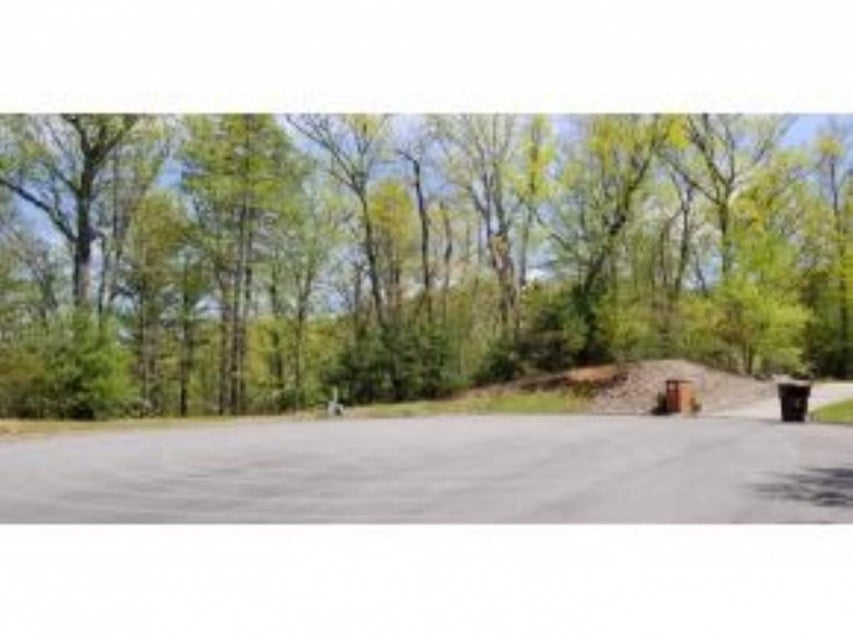 Photo #21: Tr 25 Mountain Laurel Court
