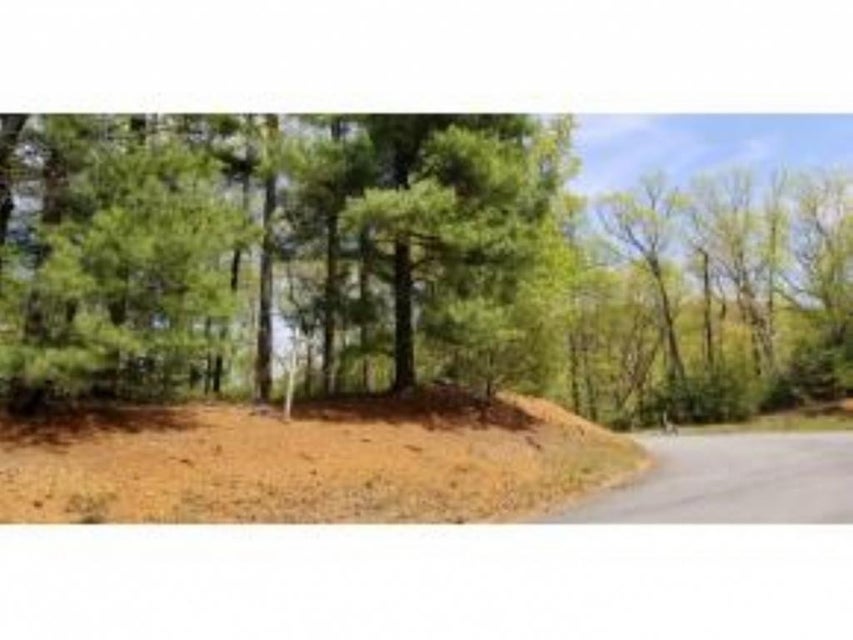 Photo #20: Tr 25 Mountain Laurel Court