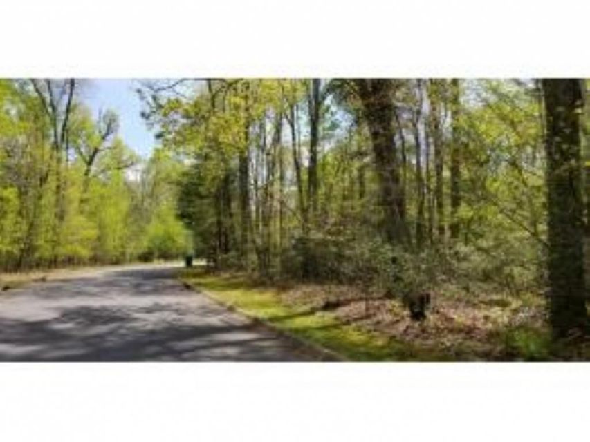 Photo #5: Tr 24 Mountain Laurel Court