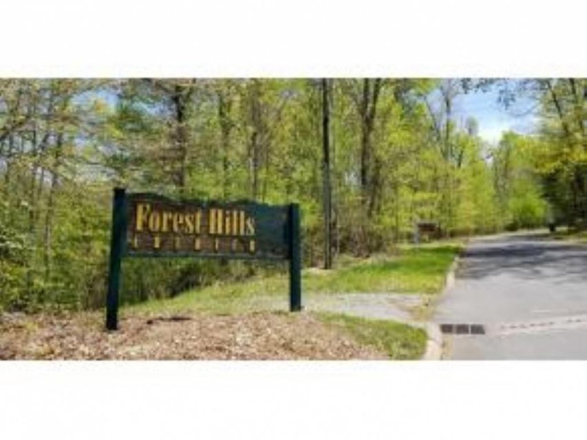 Photo #35: Tr 32 Mountain Laurel Court
