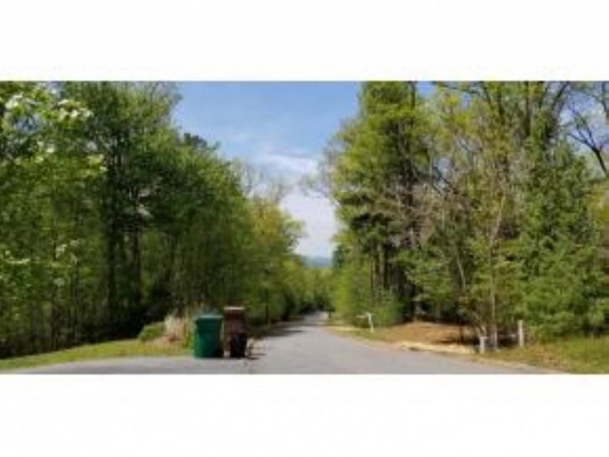 Photo #34: Tr 32 Mountain Laurel Court