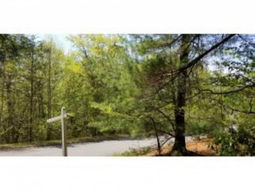 Photo #30: Tr 32 Mountain Laurel Court
