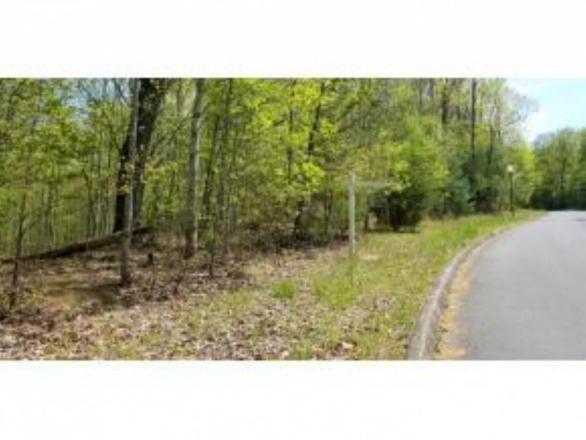 Photo #7: Tr 25 Mountain Laurel Court