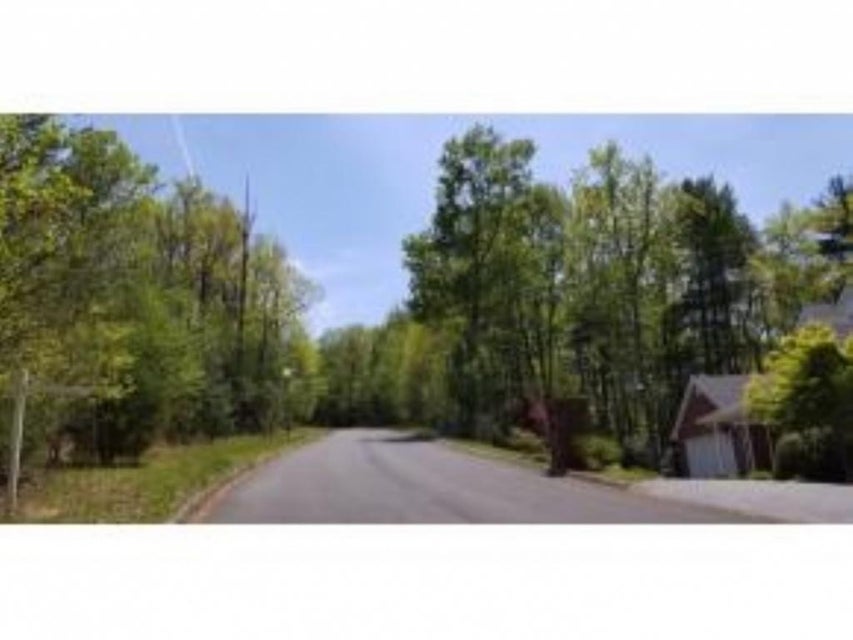 Photo #10: Tr 25 Mountain Laurel Court