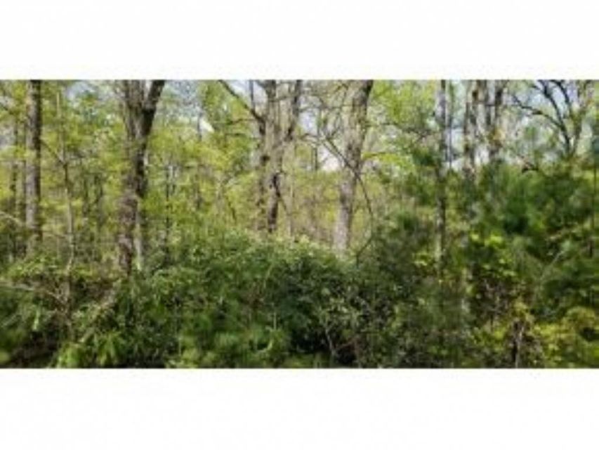 Photo #26: Tr 32 Mountain Laurel Court