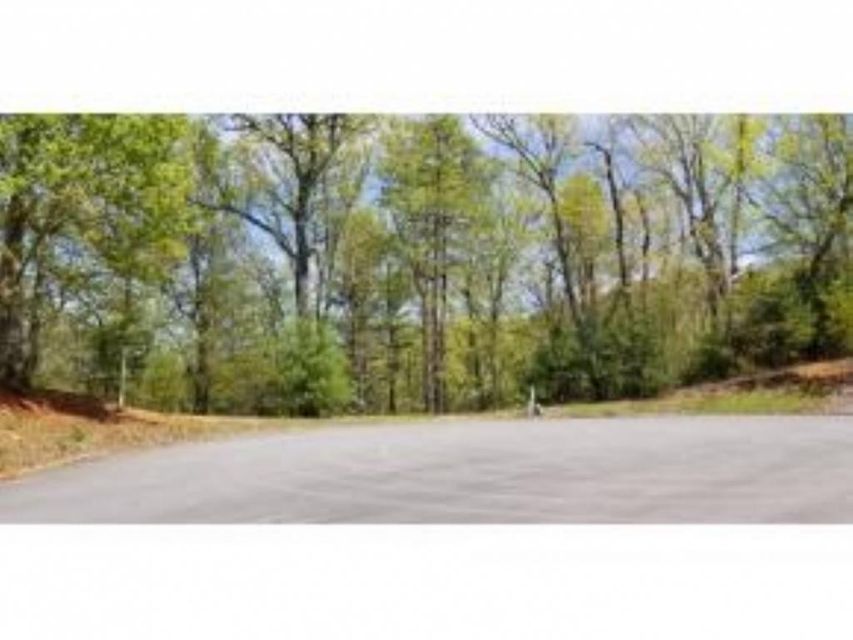 Photo #22: Tr 32 Mountain Laurel Court