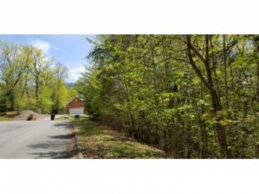 Photo #18: Tr 32 Mountain Laurel Court