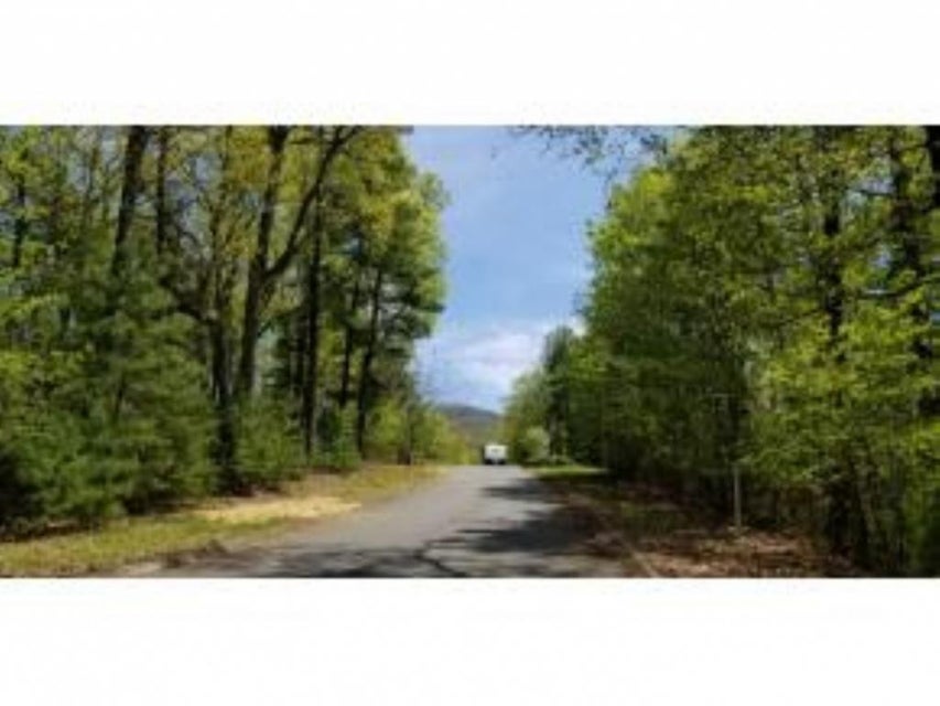 Photo #16: Tr 32 Mountain Laurel Court