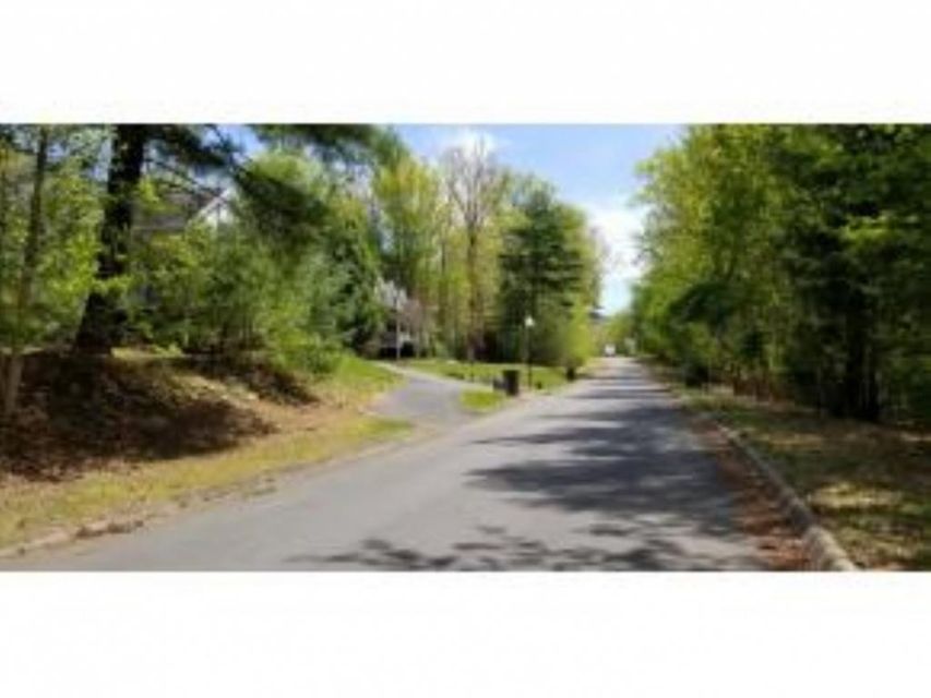 Photo #12: Tr 32 Mountain Laurel Court