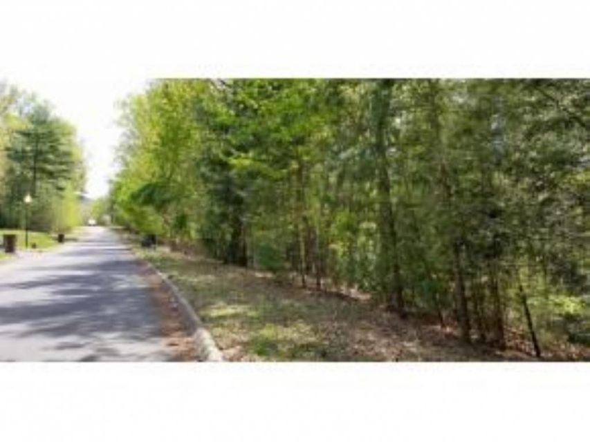 Photo #11: Tr 32 Mountain Laurel Court