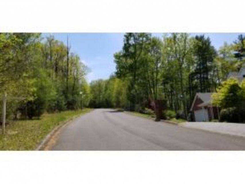 Photo #9: Tr 32 Mountain Laurel Court