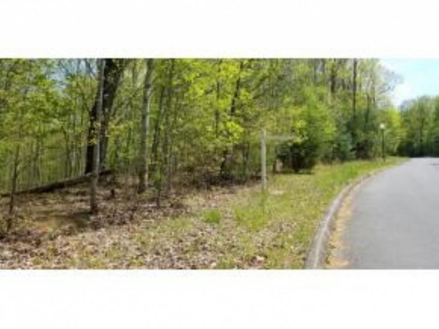 Photo #7: Tr 32 Mountain Laurel Court