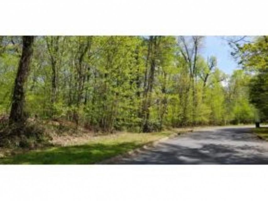 Photo #4: Tr 32 Mountain Laurel Court