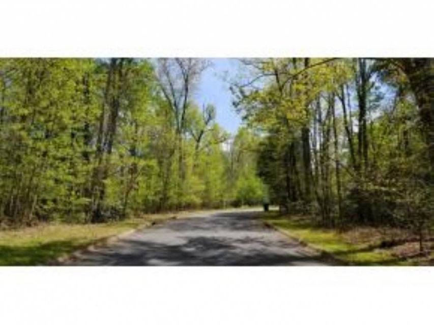 Photo #3: Tr 32 Mountain Laurel Court