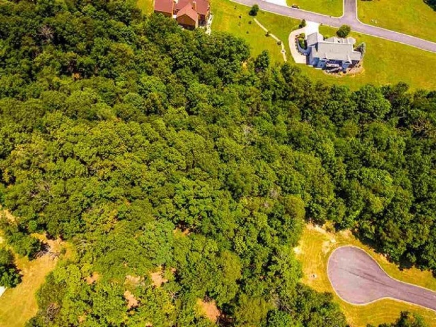 Photo #11: 8028 Mountain Ridge Drive