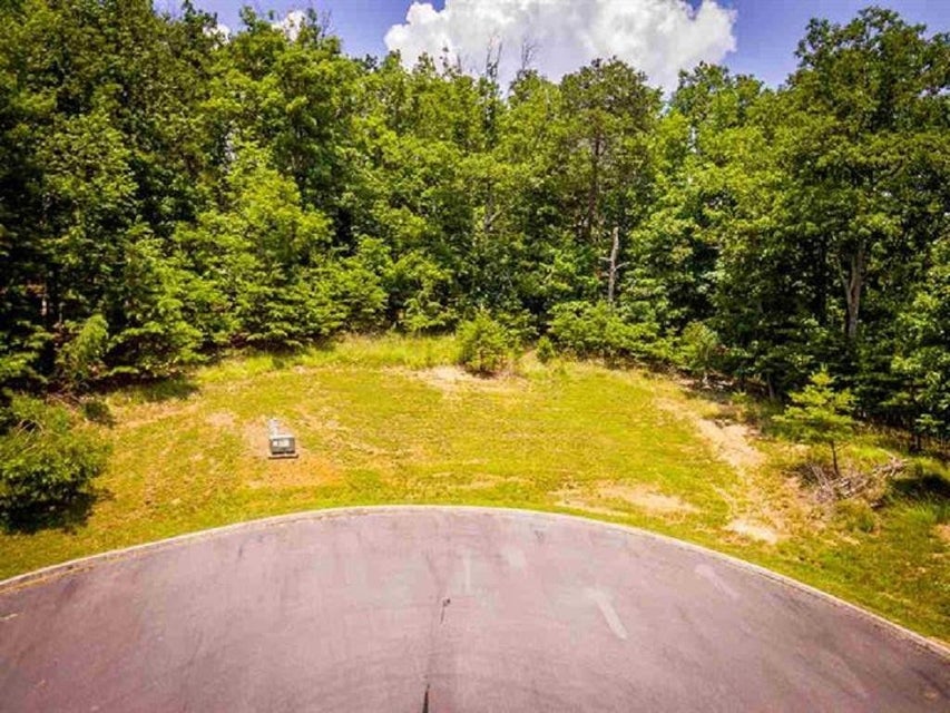 Photo #9: 8028 Mountain Ridge Drive