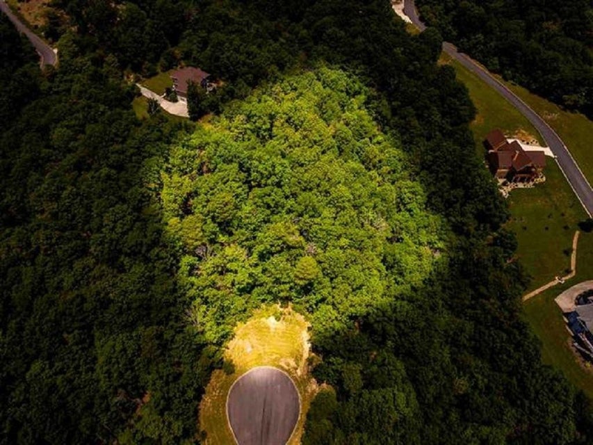 Photo #2: 8028 Mountain Ridge Drive