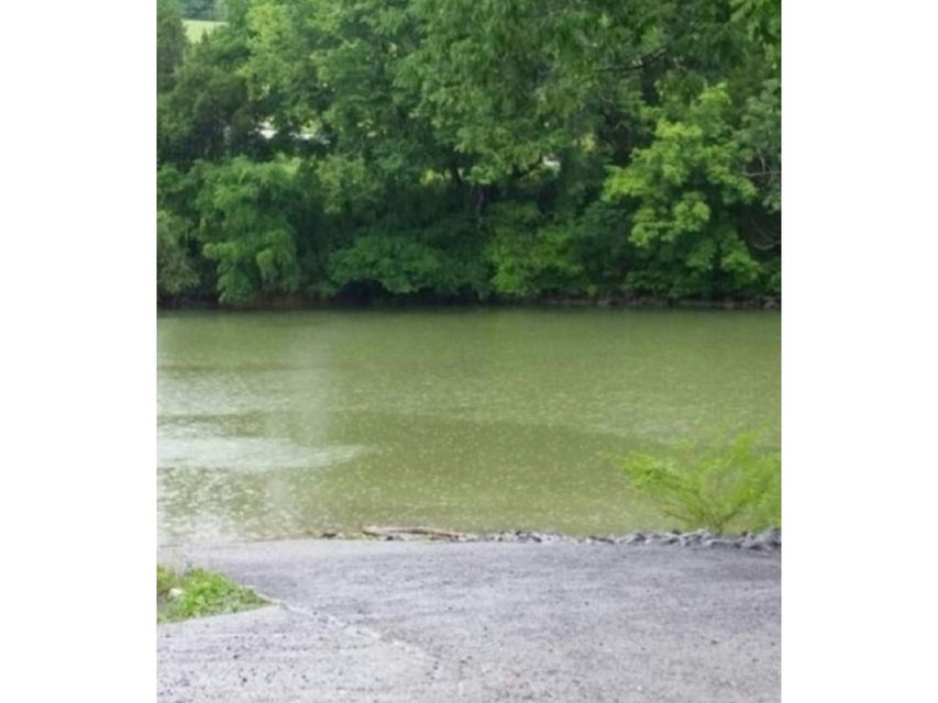 Photo #26: 4260 Anchor Pointe Drive