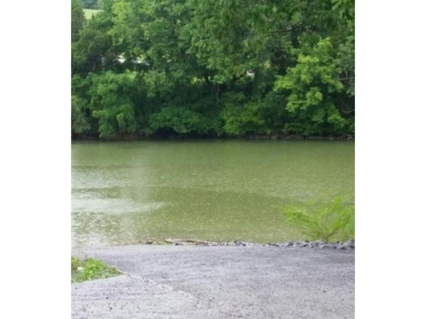 Photo #26: 4293 Anchor Pointe Drive