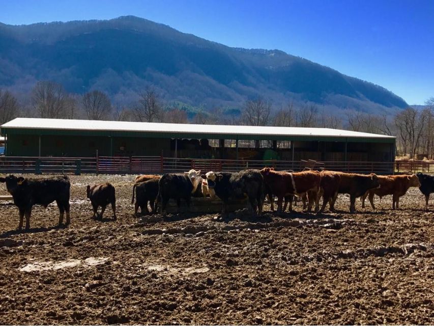Photo #34: 5252 Powell Valley Road