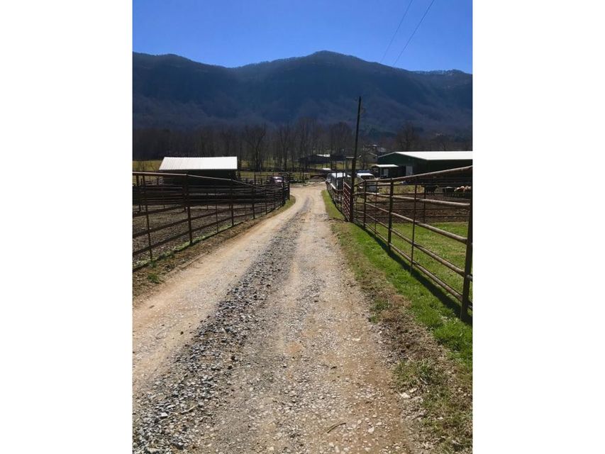 Photo #24: 5252 Powell Valley Road