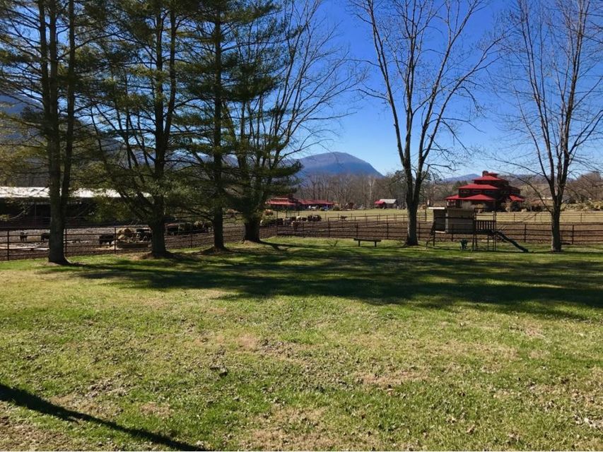Photo #20: 5252 Powell Valley Road