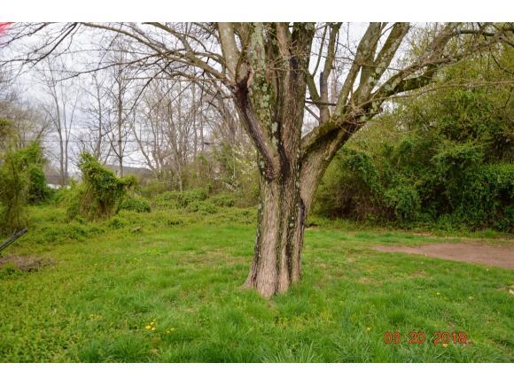 Photo #2: Lot 6&7 Stone West Drive