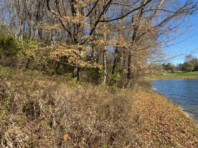 Photo #2: Lot 97 Springview Ridge