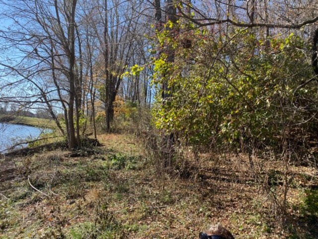 Photo #5: Lot 97 Springview Ridge