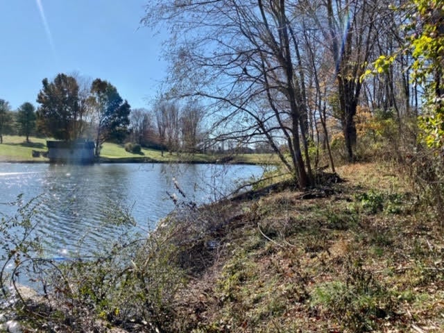 Photo #6: Lot 97 Springview Ridge